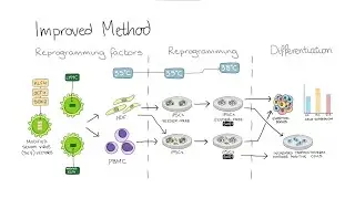 Growing Stem Cells