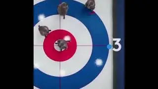 Beavers Curling For 1 Hour