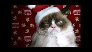Grumpy Cat&rsquo;s Worst Christmas Ever Official TRAILER 2014 Aubrey Plaza MovieHD