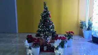 Merry christmas decoration in amazon office #amazon