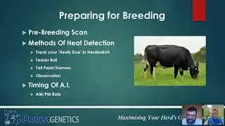 Improve your Breeding Management with Dovea Genetics