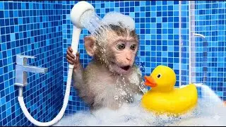 XingXing Monkey Fixes Tractor and Plows Vegetable Field - Farm Work | XingXing MonkeyLife