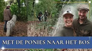 Grote boswandeling met Mickey, Skitles & Smarties! | PaardenpraatTV