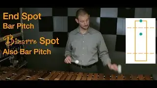 Keyboard Percussion | Fantastic Tones and Where to Find Them
