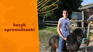 Co zrobić z kucykiem?