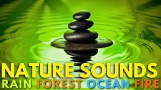 Relaxing Music with Nature Sounds (Rain, Forest, Ocean, Fireplace)