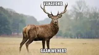 DJ Wowiter - Heiveld Kampdansmix