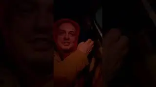 Кот с тонкой душевной организацией