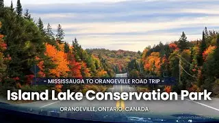 Island Lake Conservation Area Orangeville: A Scenic Fall Season Road Trip Destination Near Toronto