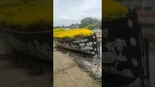 Boat plant illution #video  #videos