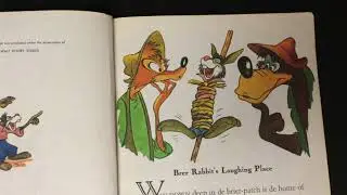 Splash Mountain: The ride is based on this story!