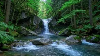 Peaceful River Soundscape 🌿 Natural Water Ambience for Meditation and Relaxation #1447