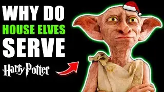 Are House Elves ENSLAVED by Santa? (+ Why They Serve Wizardkind) - Harry Potter Theory
