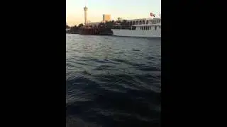 Raven Attack