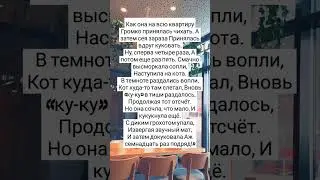 ЮМОР # КОНЕЦ