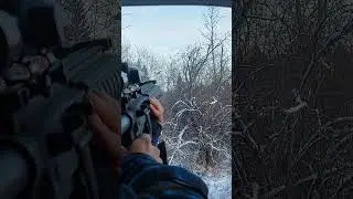 Chicken hunting northern Alberta! #alberta #hunting #22lr
