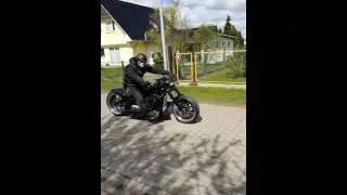 Wildstar XV1600