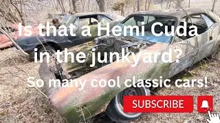 Private junkyard tour of forgotten classic!