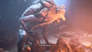 FAR CRY PRIMAL (Tensay Tells Takkar) Sun Walkers Cage Wenja HD