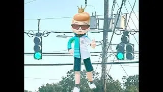 Eagle & Older McCain Traffic Lights at John Knox Road & Monroe Street in Tallahassee Florida
