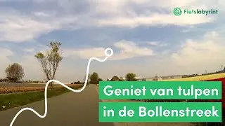 Fietsen in de bollenstreek | Fietslabyrint