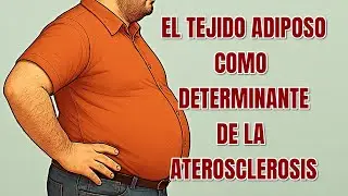 El Tejido Adiposo como Determinante de la Aterosclerosis