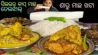 Eating_6 kg ra silvercup machha teljhol ,saru ambula machha khata kemiti baneili@Odiafoodiemira 