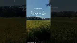 Sholawat Jibril #sholawat #sholawatnabi #sholawatmerdu #quotes #storywa #shorts #sorts #viral #fyp