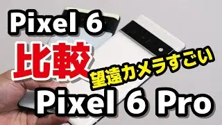 Pixel 6 Pro、Pixel 6 どっちがいい？画面と筐体サイズ・動作速度・カメラの違いを比較！広角だけでなく望遠カメラも楽しい！！