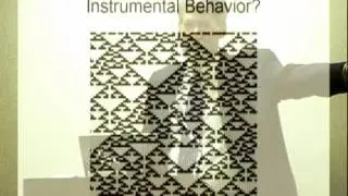 Professor Jack J McDowell on Complexity, Emergence, and the Dynamics of Behavior.