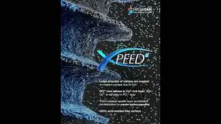 𝗧𝗵𝗲 𝗣𝗼𝘄𝗲𝗿 𝗼𝗳 𝗫𝗣𝗘𝗘𝗗 &ndash; Beyond the Surface! ⚡🦷