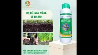 NUTRIACTIVE – DINH DƯỠNG CHO CÂY TRỒNG - 0919817033 - vietnamnongnghiepsach.vn #xanhla