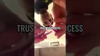 TRUST THE PROCESS