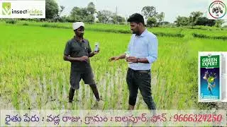 IIL Green Expert Paddy 🌾 Herbicide Results