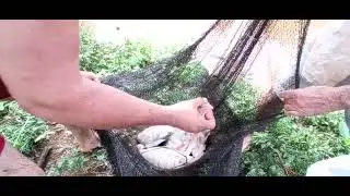 Pescando com Arrast&atilde;o/parte 2