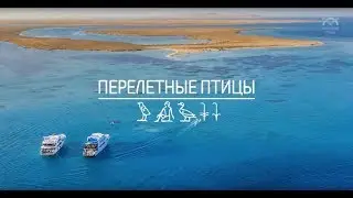 Kite Safari - Egypt - Red Sea - Kite Spot Tawila I Кайтсафари - Египет