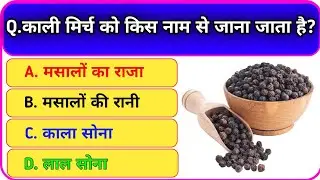 Interesting Top 10 Hard Gk Question || General Knowledge in hindi || #gkhindustan 