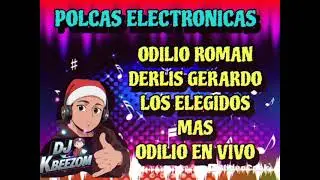 POLCAS ELECTR&Oacute;NICAS 