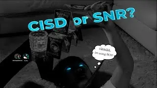 CISD or SNR? | Модели для входа