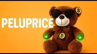 PeluPrice Your Fun Crypto Portfolio Buddy - FULL VIDEO
