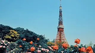 Japan: Where Tradition Meets Modernity