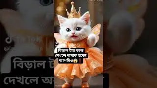 Cute cat ai video #cat #catvideos #ai #funny #catlovers #cute #cutecats #catsofinstagram #cutebabies