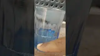 vinegar eels ne harvest cheiyadam Ela...?#trending #fish #bettafishbreeding #shorts #vlog #subscribe