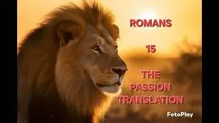 Romans 15 The Passion Translation TPT Audio Bible 