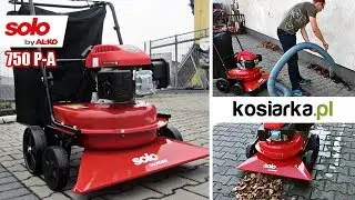 Odkurzacz do liści Solo by AL-KO Comfort  750 P-A w akcji ! Suche i mokre liście.