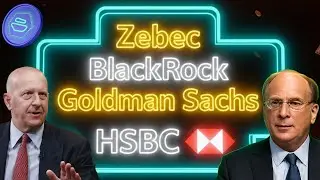 Раскрыта ОГРОМНАЯ связь Zebec с BlackRock Goldman Sachs и HSBC!