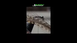 This Fly Destroys A Zebra Midge +Giveaway! #flytying