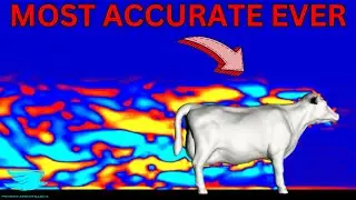 Aerodynamics Of A Cow: OpenFoam LES CFD Simulation