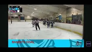Liam Labucki Game Winning Goal vs. Valley Wildcats December 7th, 2025