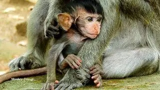 Very sad face poor Daniela - Dana abandon her own baby with old Tima- Thank Tima for nursing